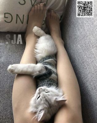 成人看片插_1080免费在线播放