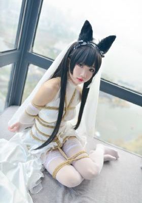 污网站大全免费_HD日韩电影在线